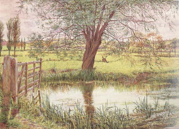 William Bell Scott Landscape with a Gate and Watermeadow (mk46)